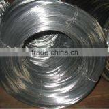 Galvanized Iron for Greenhouse