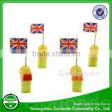 Custom Printing Country Flag Toothpicks, Party Flag Picks, Cocktail Flag Toothpicks thumbnail-4