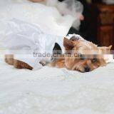 Beaded Tablecloth, Chair Covers, Linens, Runners