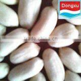 Blanched Peanut Kernel in Long Shape