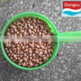 Groundnut Kernels Peanuts