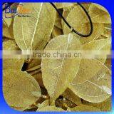 Gold Silver Plated Natural Real Leaf Charm Pendant Necklace Jewelry /Yellow Gold Plated Natural Leaf Necklace Wholesale                        
                                                Quality Choice