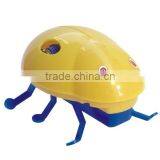 Educational DIY Crawler Toy thumbnail-1
