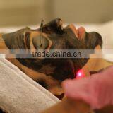 2016 Best Quality Supply To Laser Beauty Salons Q-switch Q Switch Laser Tattoo Removal Nd Yag Laser Tattoo Removal Machine Hori Naevus Removal thumbnail-6