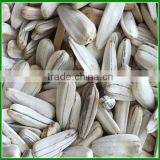 Sale Roasted and Salted White Striped Sunflower Seeds In Bulk thumbnail-1