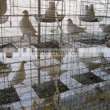 Galvanized Pigeon Breeding Cage For Poultry Farms