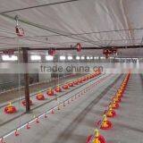 Cheap Price High Quality Turnkey Poultry Farm in Africa thumbnail-5