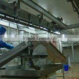 Bridge Type Pig Half Splitting Saw, Slaughter Machine thumbnail-1