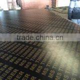 High Quality 18mm Film Faced Plywood for Construction Formwork thumbnail-1
