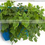 Hanging Plant Pocket thumbnail-1