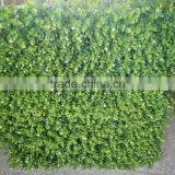 Factory Price Wall Hanging Plants thumbnail-6