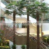 Home Garden Edging Decorative 5ft to 16ft Height Outdoor Artificial Green Plastic Palm Trees EDS06 0836 thumbnail-5