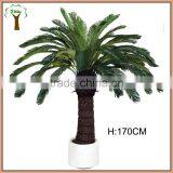 Landscape Medium Artificial Cycas Tree thumbnail-1