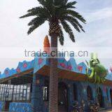 Outdoor UV Resistance Date Palm Tree for Building Decoration thumbnail-2