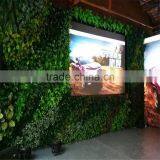 2017 Hot Sale SJZWQ-04 Outdoor Artificial Climbing Grass Wall thumbnail-3