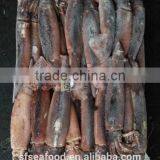 Frozen Argentina Illex Squid for Wholesale thumbnail-4