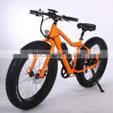 Hot Sell 26inch Aluminum Alloy Frame Electric Bike no Foldable Electric Fat Tire Bike 48V 350W thumbnail-1