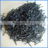 Black Phosphated Drywall Screws From Guangzhou thumbnail-6