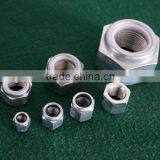 the Hexagon Nuts With Bush thumbnail-1