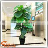 Wholsale China Plastiac Potted Tree Indoor Decoration Artificial Green Tree Fake Indoor Green Tree thumbnail-1