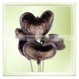 Badam On Stem thumbnail-1