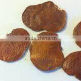 Butea Monosperma thumbnail-2