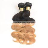 Wholesale Price 1b/27 Color Ombre Hair Weaves , Indian Hair thumbnail-5