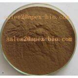 Chinese Manufacturer Billberry Extract Supply Directly thumbnail-1