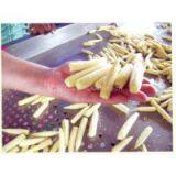 CANNED BABY CORN IN BRINE (Ms. Angela - Website: Dzungphan94) thumbnail-2