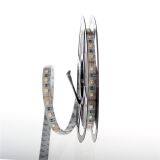 DC12V 4 IN 1 LED RGBW RGBWW LED STRIP 5050 60LED/m 5M IP20 IP65 With WIFI RGBW Controller 4 Color in 1 SMD thumbnail-2