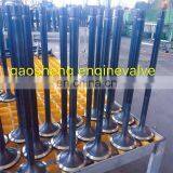 Auto Parts Steel Stellite Head Tips Seat Guides Engine Valve for Cummins Dongfeng ISf 2.8 5261320 5256949 ISF 2.8 ISF3.8 Cat thumbnail-3