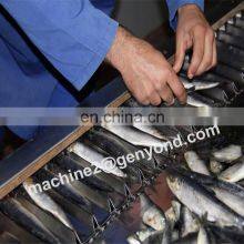 Turnkey Project Tuna Fish Canned of Higih Quality thumbnail-4