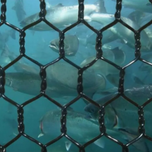 2.0-4.0mm Polyester Gabion Net Pet Ecological Gabion Net thumbnail-1