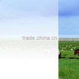 Stretch Pe Film Self-adhesive Protective Film For Window Glass thumbnail-4