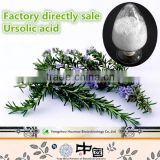 GMP Factory Supply Rosemary Ursolic Acid/Ursolic Acid