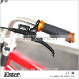 ESTER New Fashion Three Wheel Rickshaw for Family thumbnail-4