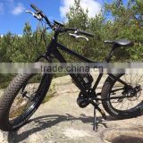 chinese wholesale fat tire ebike 48v 1000w new model