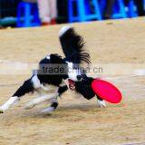 Color Plastic Frisbee Printed Round Flying Disc