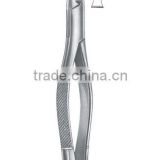 Best Quality Dental Tooth Extracting Forceps Extraction American Pattern, Dental instruments