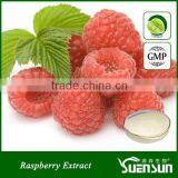 Gold Supplier Raspberry Extract Raspberry Powder Natural Raspberry Ketone thumbnail-1
