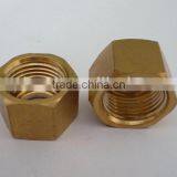 Brass Din934 Hex Nut Self Color
