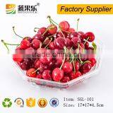 Promotional Transparent Plastic Pet Tray thumbnail-4