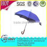 Straight Umbrella Auto Open Umbrella Chinese Umbrella With Raindrop Made in Chinese Umbrella Manufacturer thumbnail-3