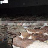 Wet Salted & Dry Salted Donkey Hides and Cow Hides, Cattle Hides thumbnail-1