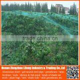 Offer 100% New Hdpe Netting Fabric , Anti Bird Nets for Catching Birds thumbnail-1