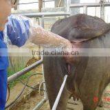 Jiangs Plastic Long Sleeve Gloves Cattle ai Supplies thumbnail-6