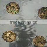 White/silver Effective Mulch Film for Strawberry thumbnail-2