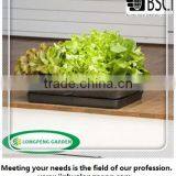 Garden Plants Bag,Tomatoes Plant Bag , Peppers, Herbs and Potatoes Growing Bag thumbnail-6