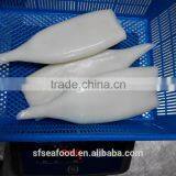 Good Quanlity and Best Price Frozen Squid Tube thumbnail-3