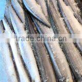 Frozen Pacific Saury Fish thumbnail-1
